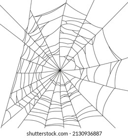 Big sloppy web outlined on white background