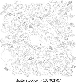 
Big and small apples, germinated green buckwheat, walnuts, almonds, dates, vanilla flowers, apricot and coconut on a white background with bunches of grapes 