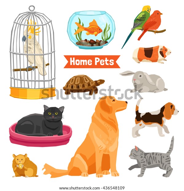 Vector De Stock Libre De Regalias Sobre Mascotas Domesticas Grandes Y Pequenas Con