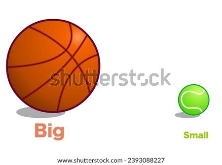 Big small, opposites. Tennis, basketball ball. English words lesson, School worksheet kids adjectives. Team and individual sports. Language education. Illustration vector