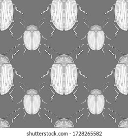Big and small round beetles. Isolated white insects on a gray background. Seamless pattern for different surfaces.