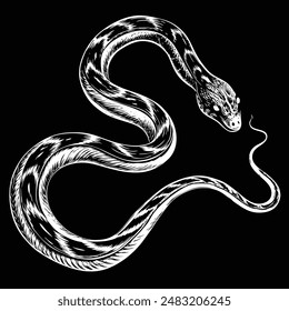 Big snake Vector Illustration Design