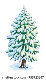 Big snow-covered fir tree. Vector dwawing. EPS8