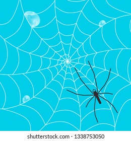Big Spider Silhoette on Web with Rain Drops and Blue Sky on Background - Vector