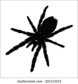 Big Spider silhouette