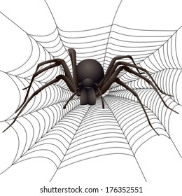 big spider in the web. Vector illustration