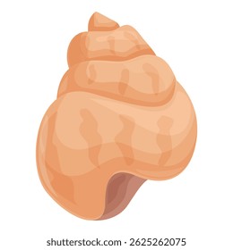 Grande concha espiral do oceano está deitada sobre um fundo branco
