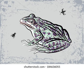 Big spotty toad and insects.
