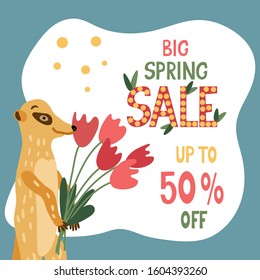 Big spring sale lettering with an adorable meerkat holding red tulips.  Discount template 50% off or up to for shops. Social media square format. Vector illustration isolated on white.