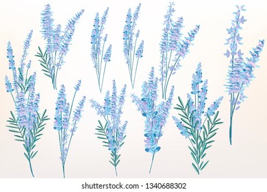 Big spring set of lavender flowers for design