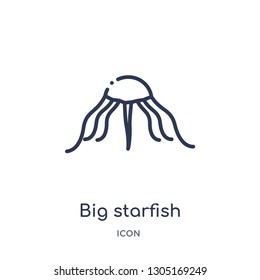 big starfish icon from nautical outline collection. Thin line big starfish icon isolated on white background.