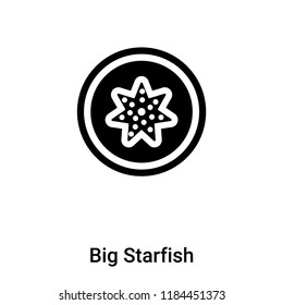 Big Starfish icon vector isolated on white background, logo concept of Big Starfish sign on transparent background, filled black symbol