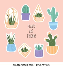 Big stickers set of succulent plants in pots and glass terrariums. Cute hand drawn cactus home plants collection, trendy modern vector illustration  in flat cartoon style, isolated on pink background.