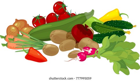 Big still life with autumn harvest. Composition with different vegetables on white background