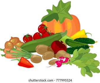 Big still life with autumn harvest. Composition with pumpkin and other different vegetables on white background