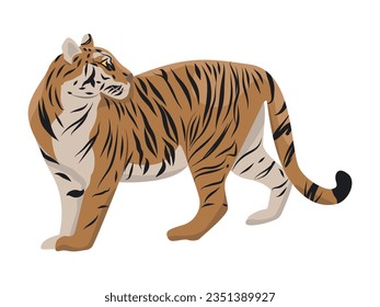 Big striped tiger. Realistic vector animal