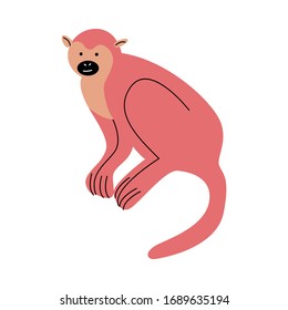 Big strong red monkey with long tale vector illustration