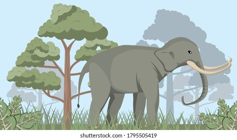 big strong wild elephant in the jungle wild nature scene vector illustration design