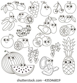 Big summer fruit set in vector, the colorless version.