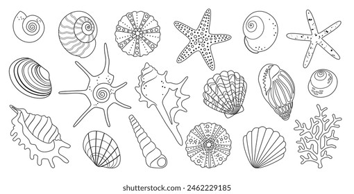 Big summer sea set of simple outline elements of the underwater world hand drawn, a variety of shells, starfish, sea urchins, corals for pattern, stickers, logo. Isolated on a white background. Vector