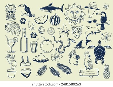 Big Summer Set of Object and Element in Hand Drawn Vintage