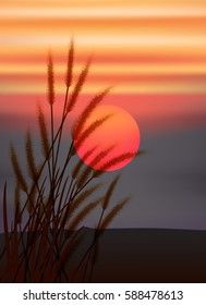 big sunset red sky and  silhouette grass graphic vector