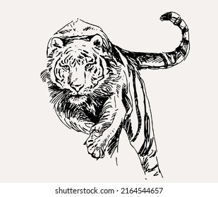 big tiger painted with ink by hand on a white background logo predator. Hand drawn asian tigers