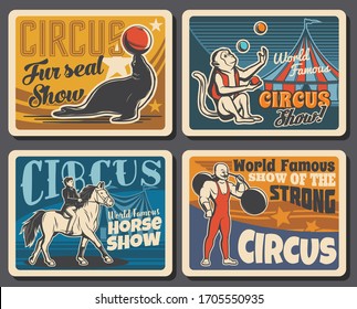 Gran circo de carpa, espectáculo de carnaval de chapiteau con animales entrenados y hombre fuerte. Vector cirque gran carpa, mono y foca con bolas de malabarismo, caballo con jinete y hombre fuerte con barbacoa