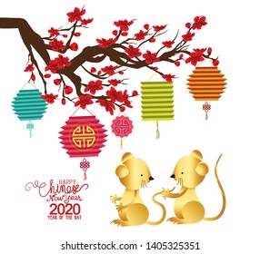Big traditional chinese lanterns and cherry blossom. Year of the rat