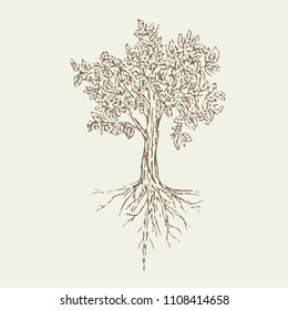 a big tree