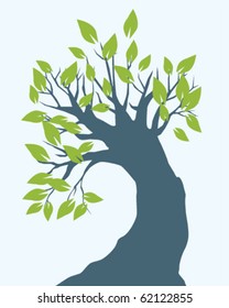 big tree