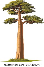 big tree - baobab, vector illustration on a white background     svg