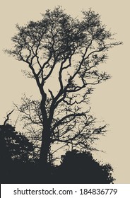 big tree and branches silhouette. detailed vector illustration 