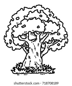 big tree / cartoon vector and illustration, black and white, hand drawn, sketch style, isolated on white background.