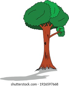 Big Tree Cartoon Vector With Shadow. High Quality Illustration Clip Art.