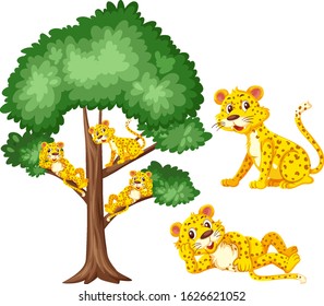 Big tree and cute tigers on white background illustration