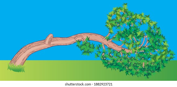 Big tree falling to the ground in realistic style. Vector illustration isolated.
