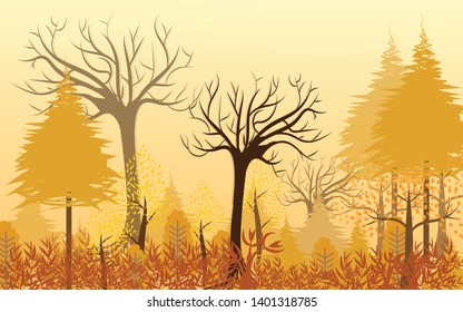 Big tree and grass that is dry in the forest With fallen leaves in the autumn season.