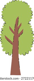 Big Tree with Green Leaves
