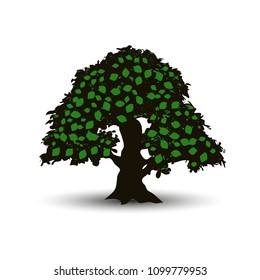 Big tree with green leaves in summer, cartoon on white background, vector