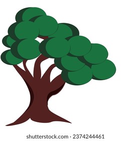 árbol grande aislado en fondo blanco