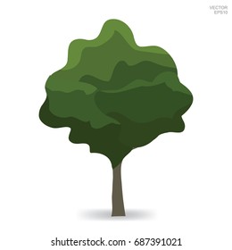 Big tree isolated on white background. Vector natural object for template.