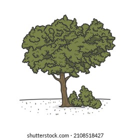 ícono de ilustración de vector plano del doodle de kawaii de árbol grande