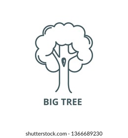 Big tree  line icon, vector. Big tree  outline sign, concept symbol, flat illustration