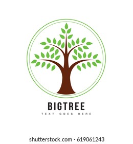 Big Tree Logo Vector Illustration.