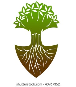 A big tree with lots of roots.