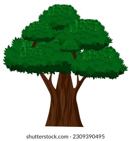 Big Tree of Lush Green Leaves, Vintage Bonsai
