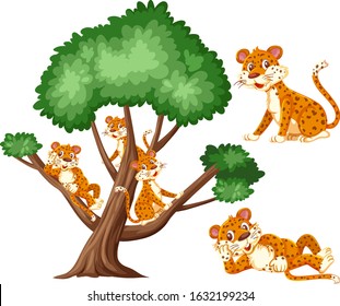 Big tree and many tigers on white background illustration