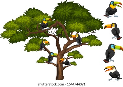 Big tree with many toucan birds on the branch illustration