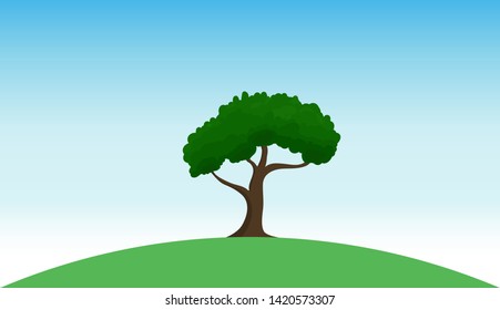 Big tree in the middle of the lawn.
